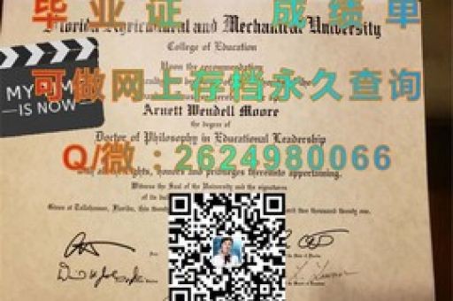 南衛(wèi)理公會大學學位證，揭開榮耀背后的故事