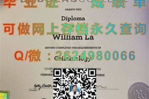 百納利大學(xué)成績單，揭秘學(xué)子實力與成就