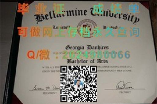 巴黎第八大學(xué)文憑，解鎖歐洲學(xué)術(shù)精英的通行證