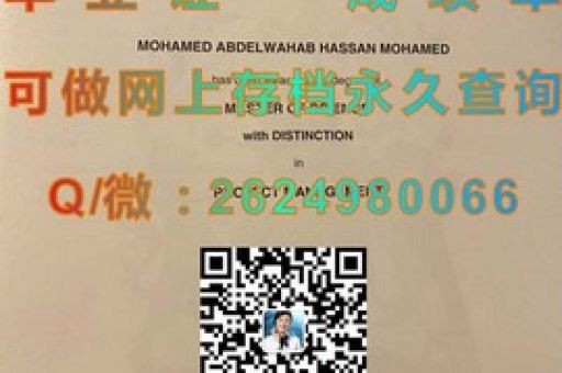 鹿特丹應(yīng)用科學大學，揭秘全球視野下的學術(shù)成就單