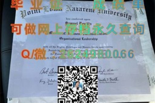 探索都柏林城市大學，揭秘學術(shù)成就背后的成績單奧秘