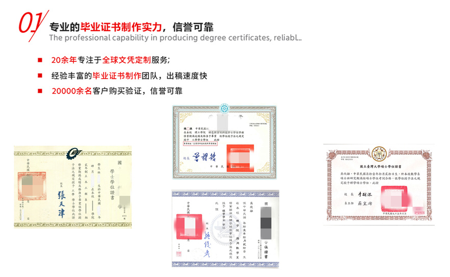 定制蒂賽德大學(xué)文憑