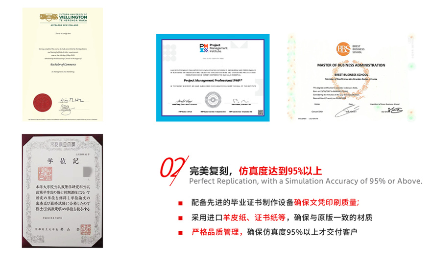 定制蒂賽德大學(xué)文憑